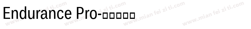 Endurance Pro字体转换